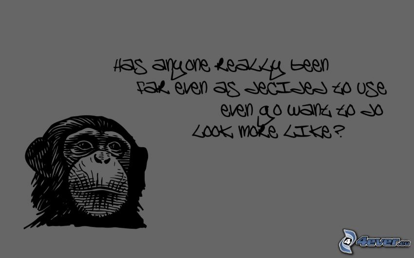 chimp, text