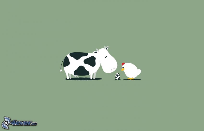 cow, hen