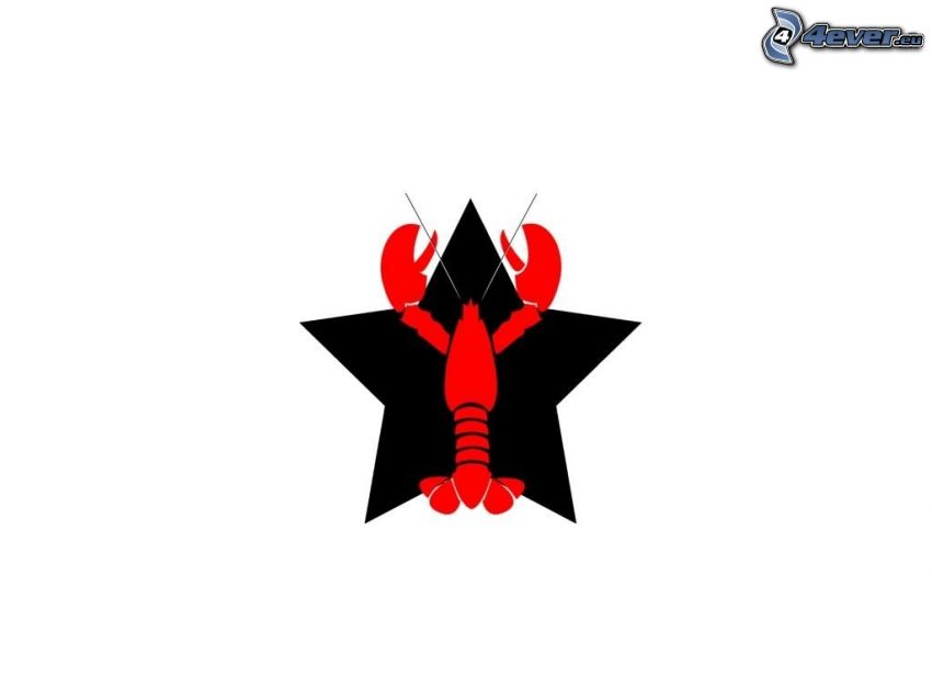 crayfish, star