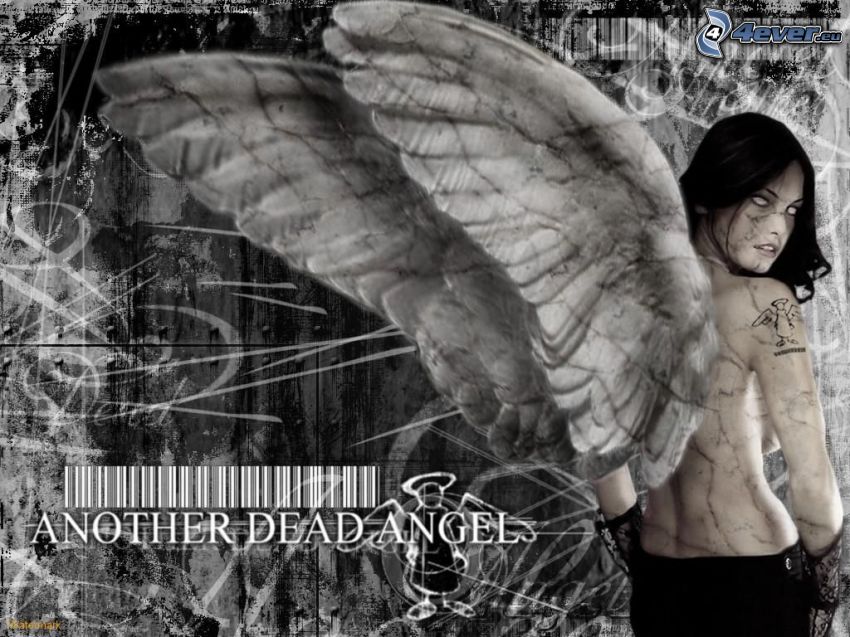 black angel, woman with wings, barcode