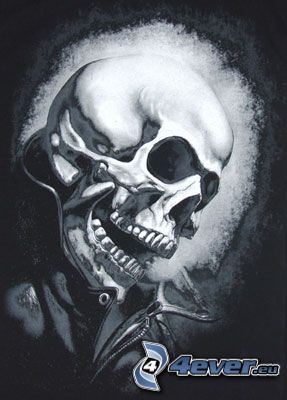 Ghost Rider, black and white, skull