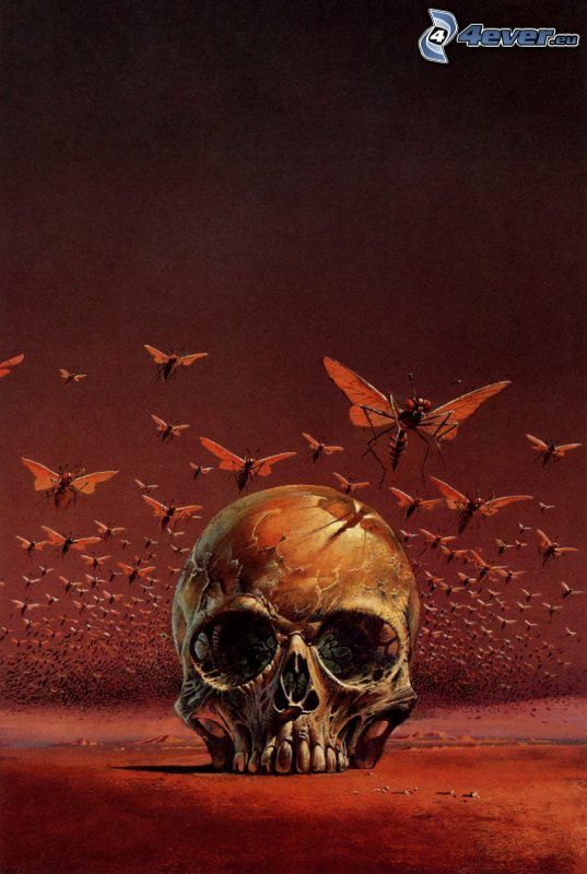 skull, mosquito, hell