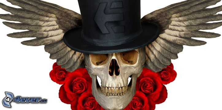 skull, roses
