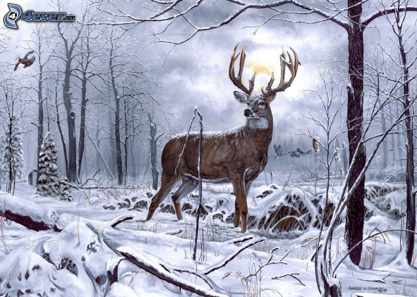 deer, snowy landscape
