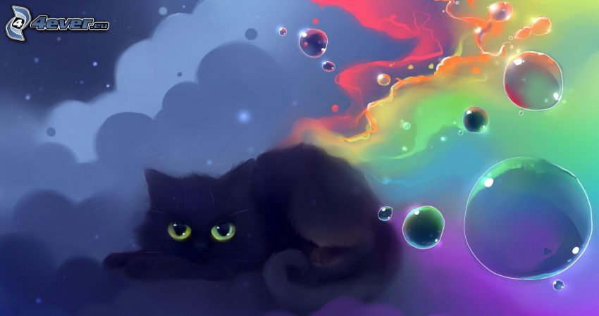 black cat, bubbles