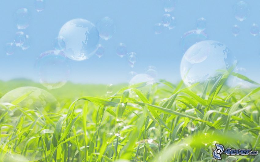 bubbles, grass