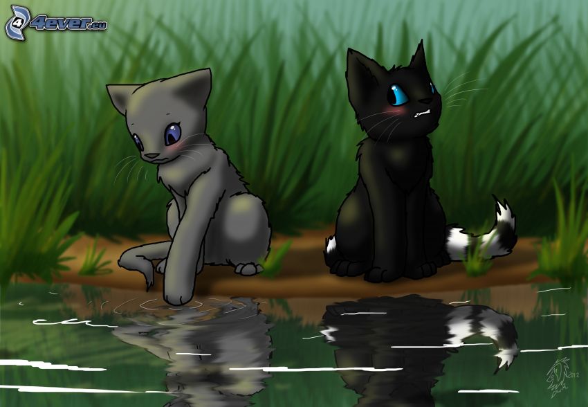 cartoon cats, lake, reflection