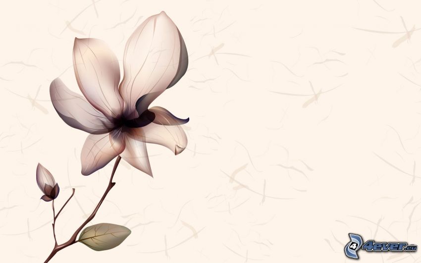 cartoon flower, brown background