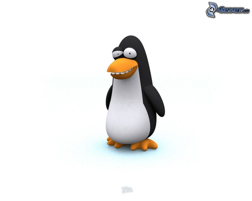 cartoon penguin, animal