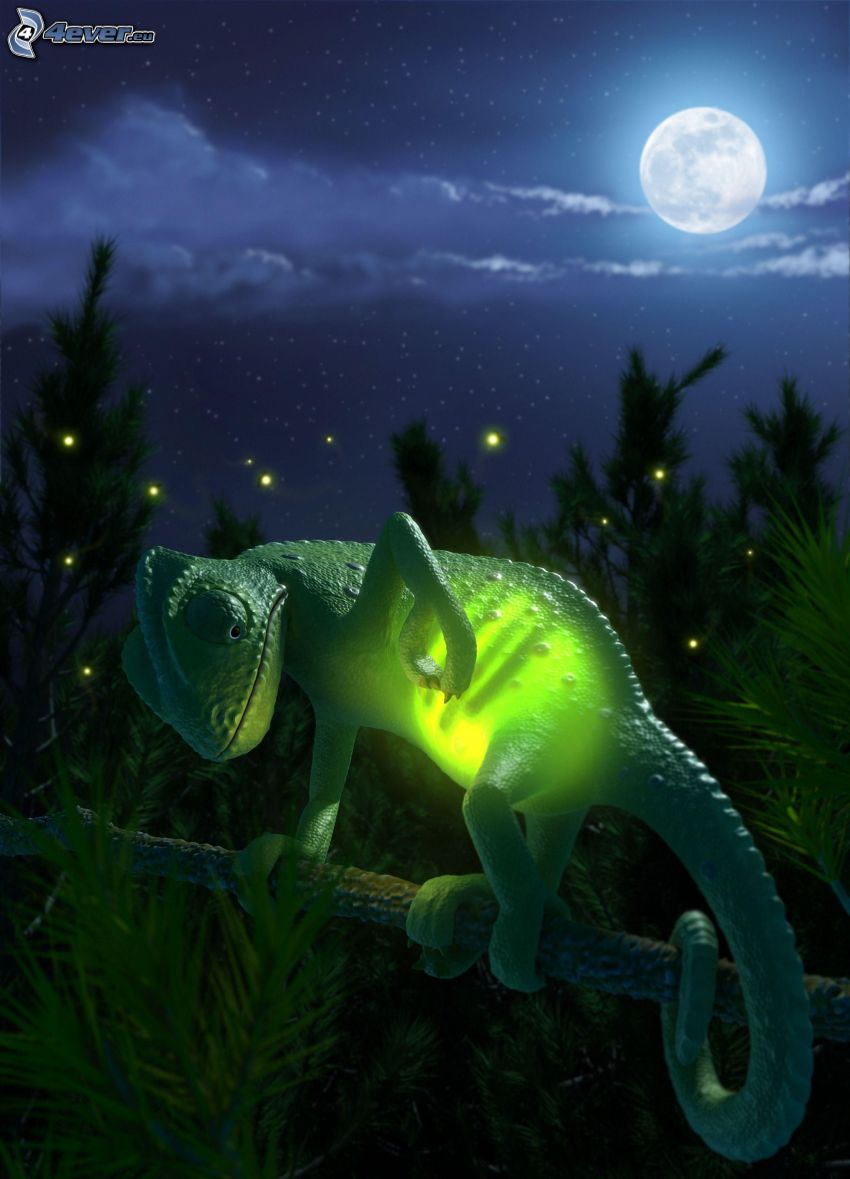 chameleon, full moon, forest