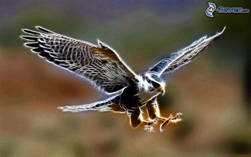 falcon, fractal bird, wings