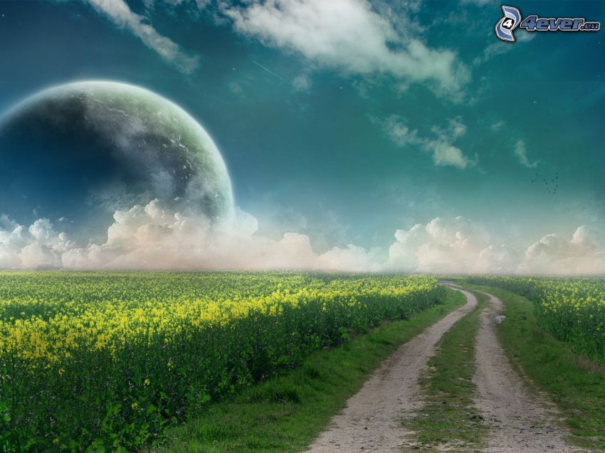 field path, rapeseed, moon, clouds