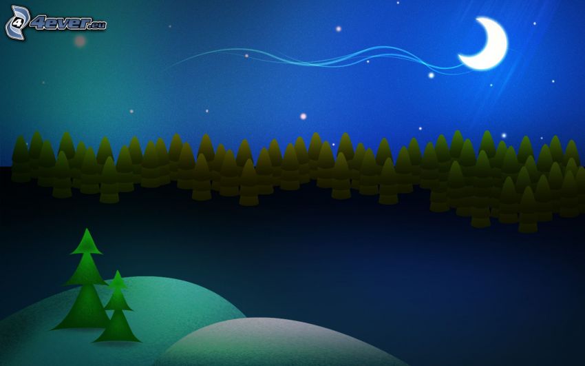 forest at night, moon, stars