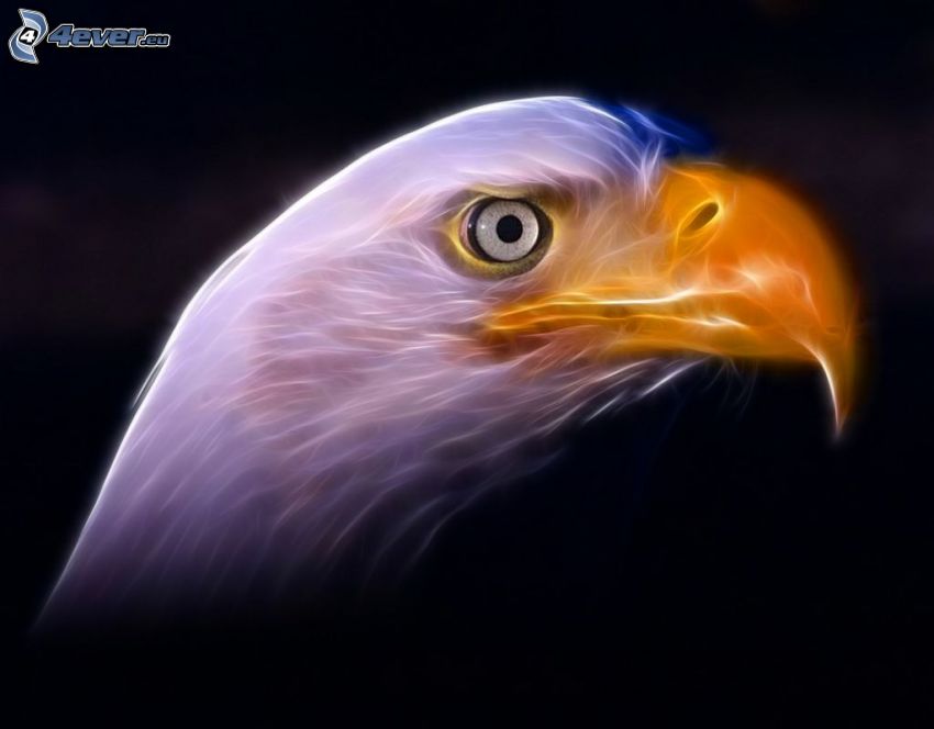 fractal eagle, beak