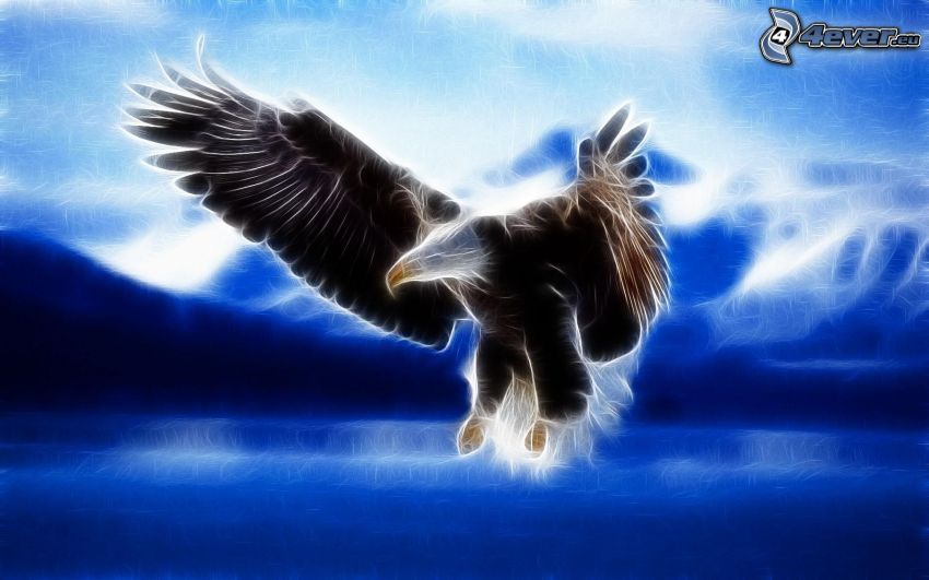 fractal eagle, wings, flight