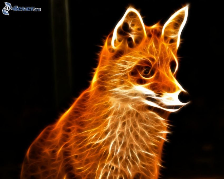fractal fox
