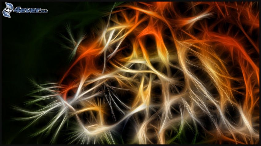fractal tiger