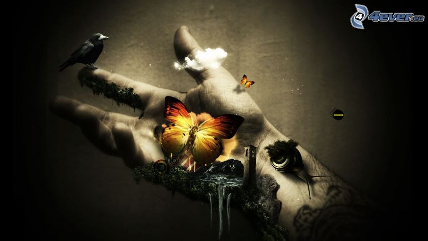 hand, butterfly