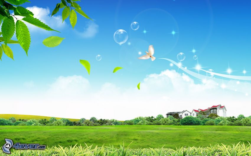 meadow, trees, house, dove, bubbles