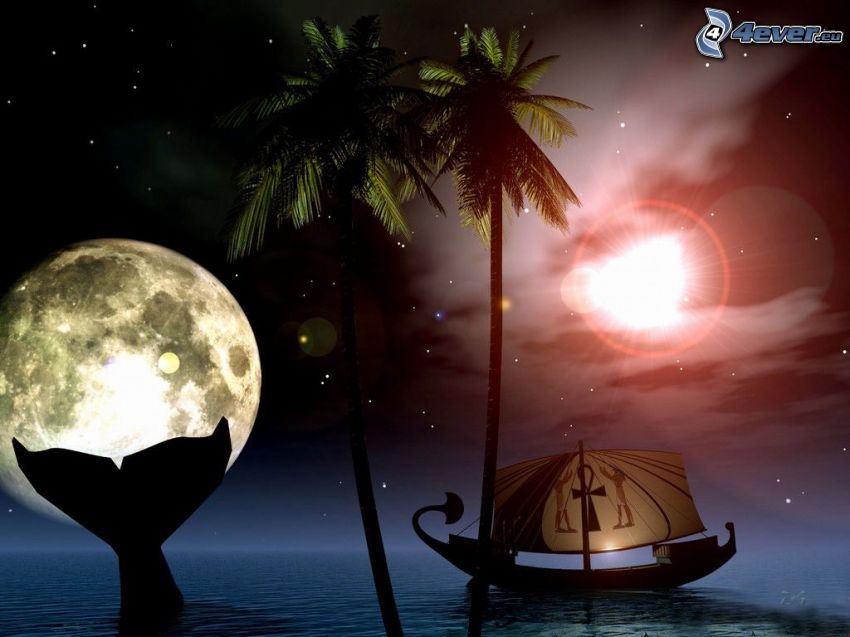 night, moon, sea, palm tree, sailing boat, silhouette