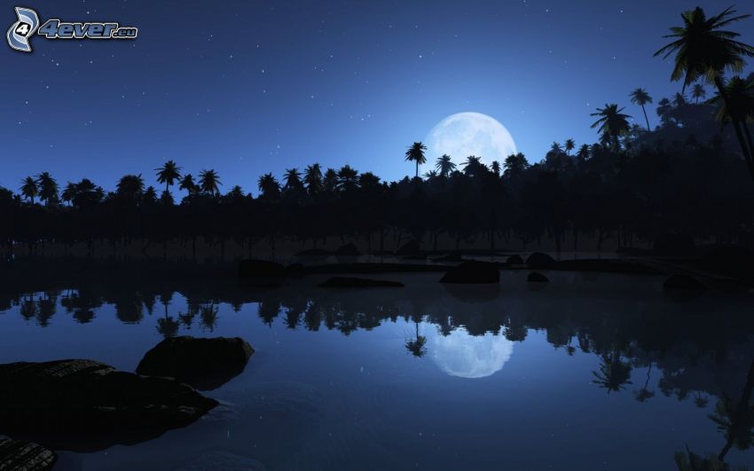 night landscape, lake, reflection, moon, starry sky