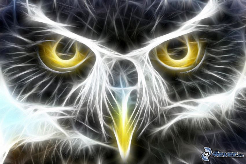 owl, fractal bird