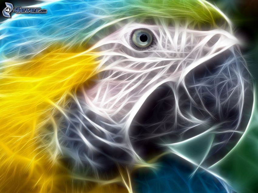 parrot, fractal bird