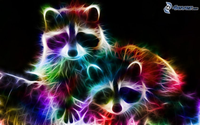 raccoons, fractal animals