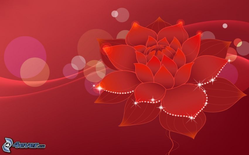 red flower, red background, circles
