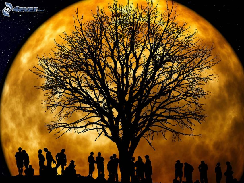 silhouettes of people, silhouette of tree, orange Moon