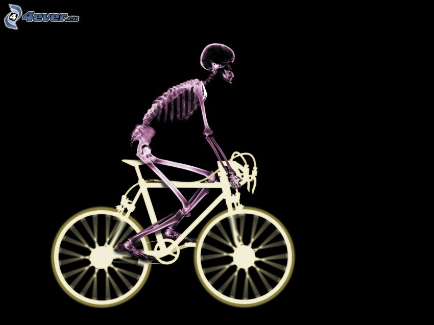 skeleton, bicycle