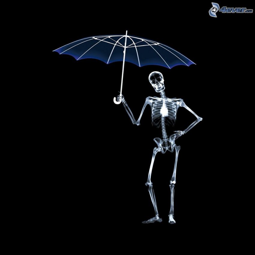 skeleton, umbrella