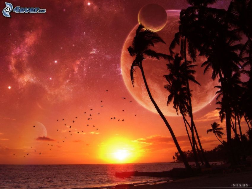sunrise, universe, stars, moon, palm trees on the beach