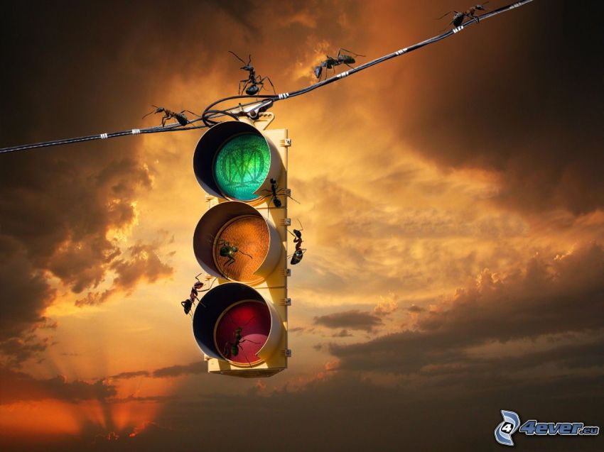 traffic light, ants, clouds