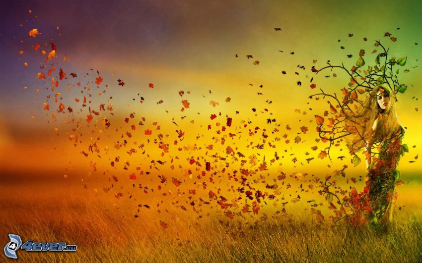 tree, woman, autumn leaves, field
