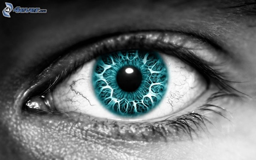 turquoise eye