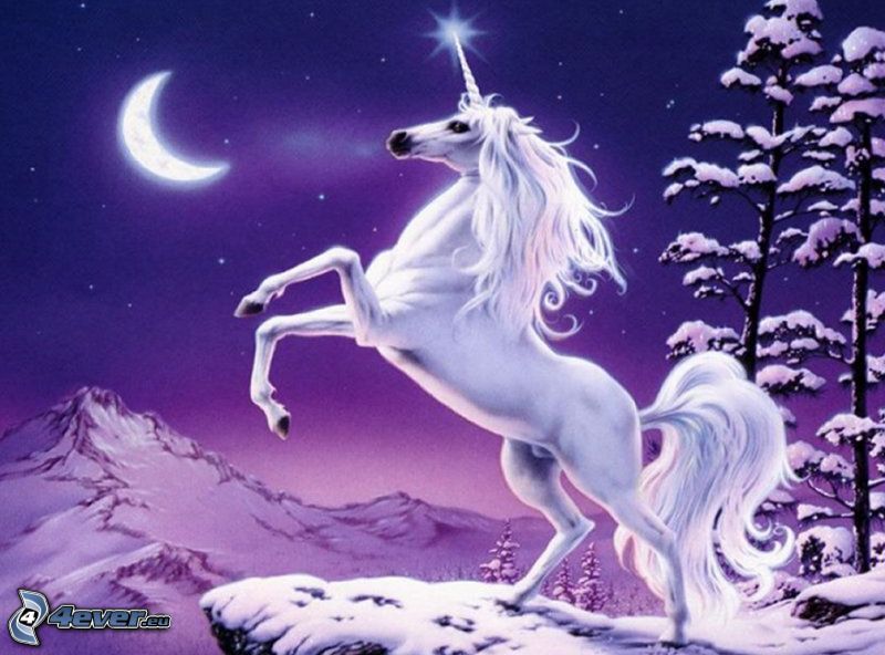unicorn, moon, forest, snow