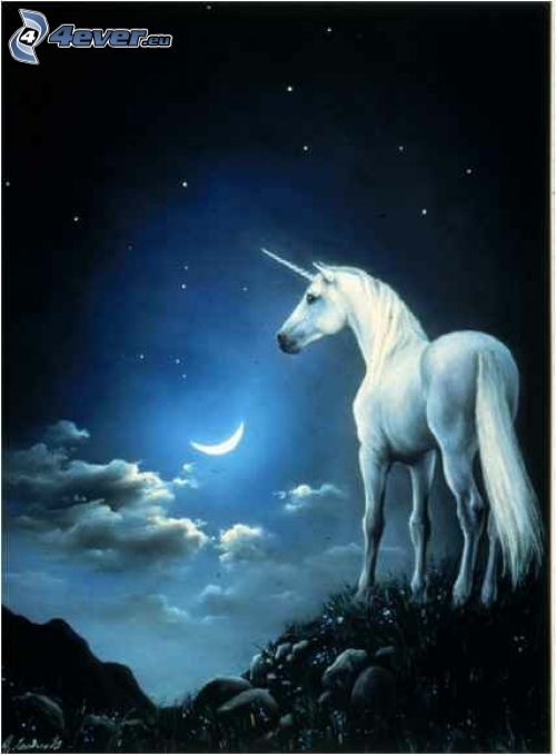 unicorn, moon
