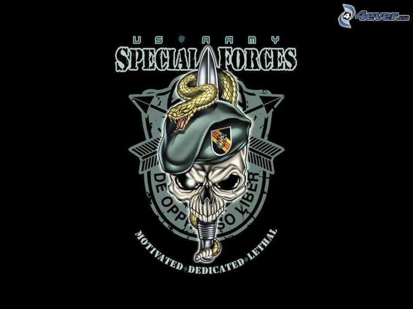U.S. Army special forces, skull, snake
