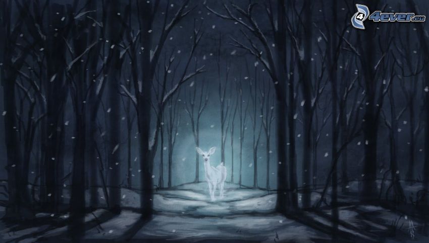 doe, forest at night, snow