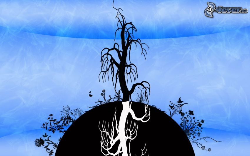 dried tree, silhouette of tree, Earth, flowers