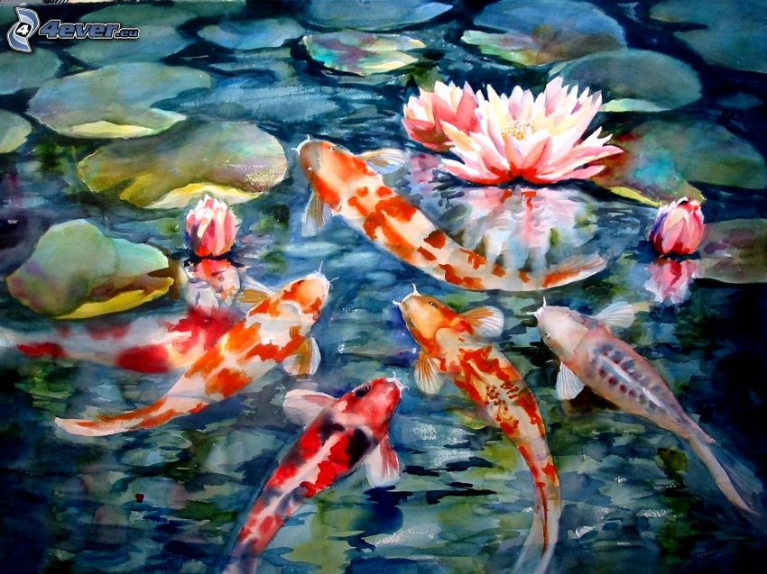 fishes, water lilies, painting, picture