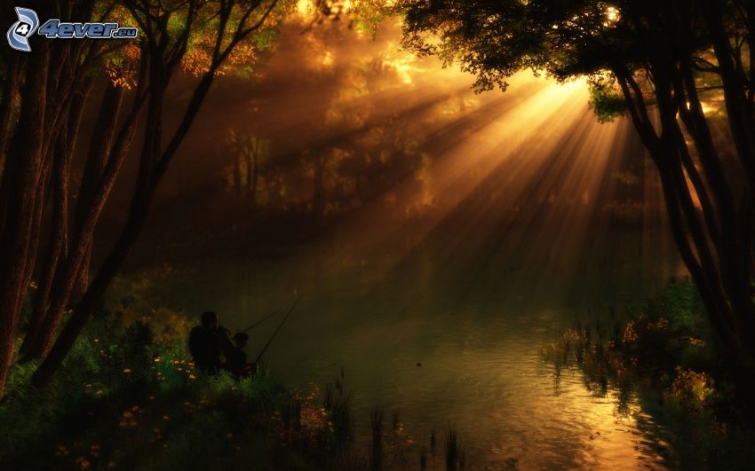 fishing, sunbeams in forest, lake in woods