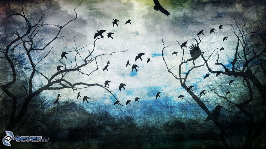 flock of birds, trees
