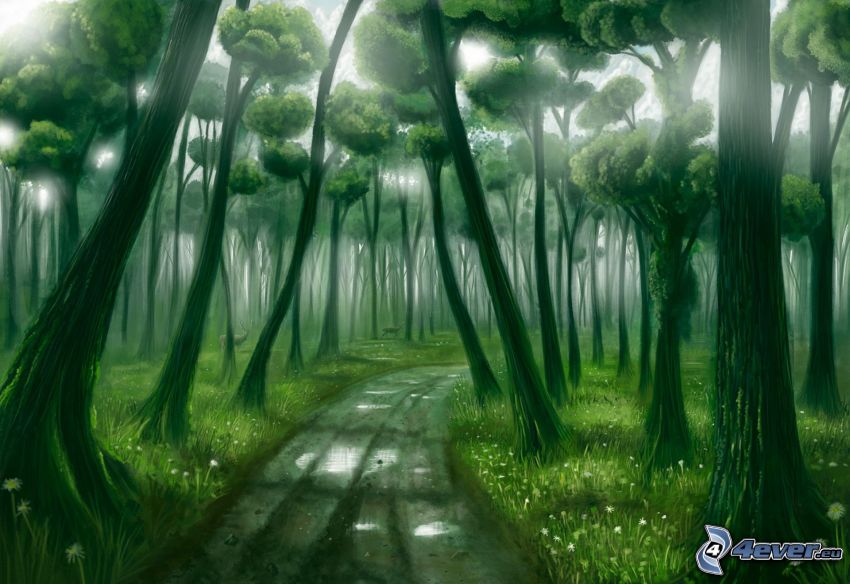 forest road, forest