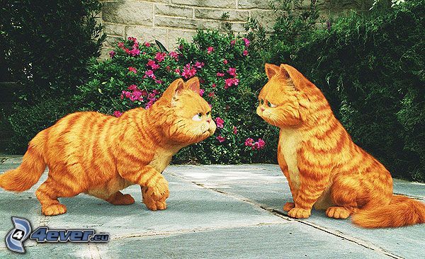 Garfield, twins