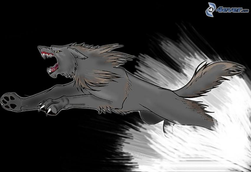 black wolf, scream