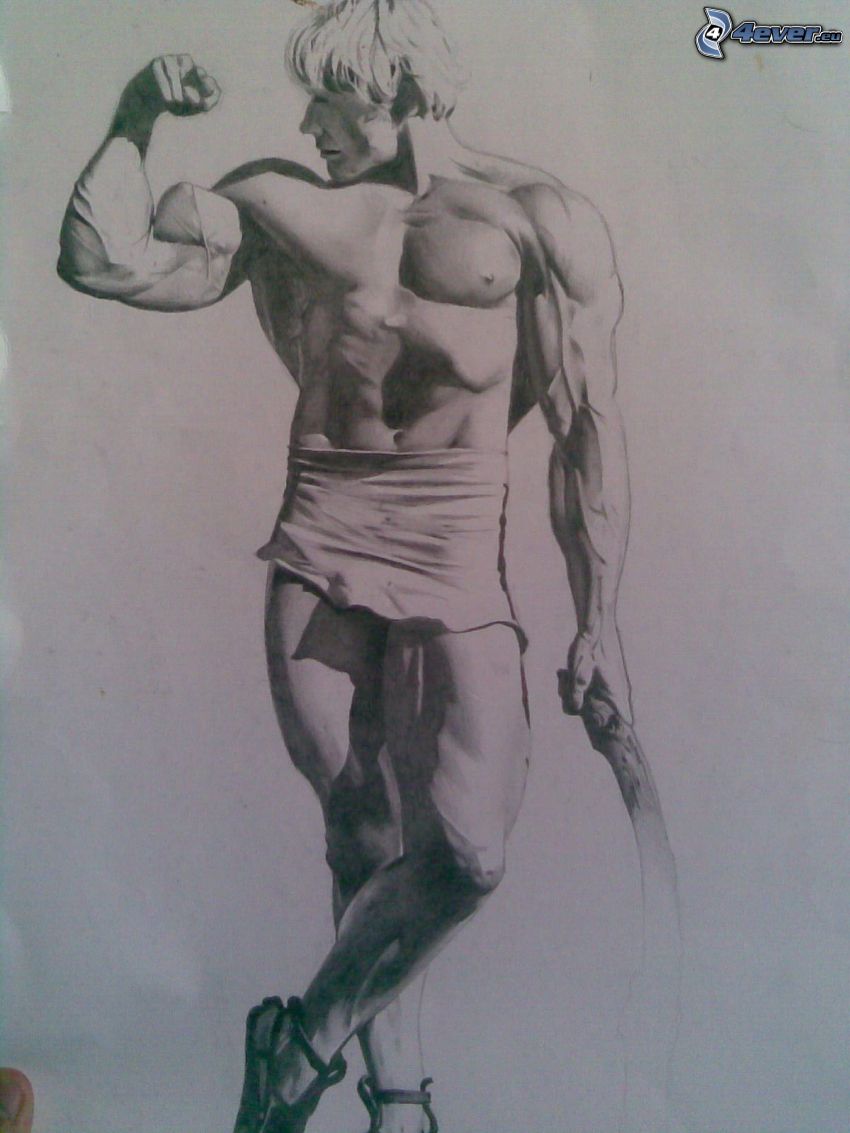 Dave Draper, muscular guy, drawing