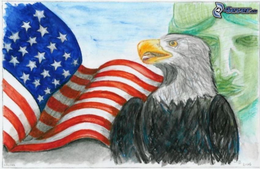 eagle, the USA flag