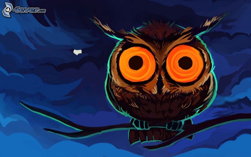 owl, night, moon